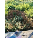 Природа - 11.jpg Природа - 11.jpg